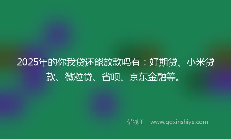 2025年的你我贷还能放款吗有：好期贷、小米贷款、微粒贷、省呗、京东金融等。