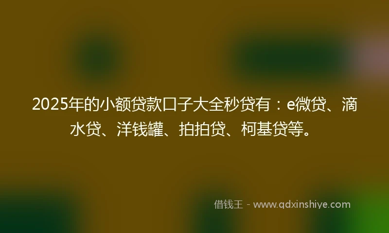 2025年的小额贷款口子大全秒贷有：e微贷、滴水贷、洋钱罐、拍拍贷、柯基贷等。
