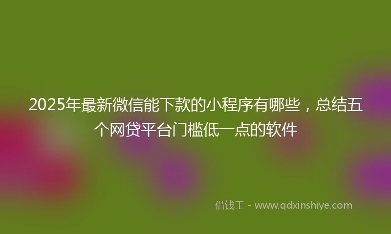 2025年最新微信能下款的小程序有哪些，总结五个网贷平台门槛低一点的软件