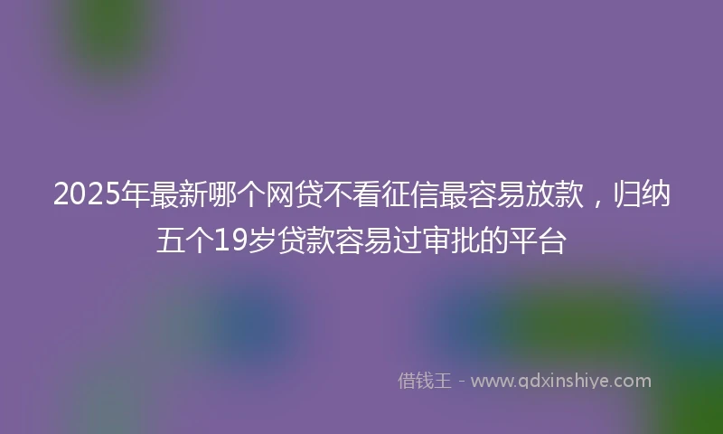 2025年最新哪个网贷不看征信最容易放款，归纳五个19岁贷款容易过审批的平台