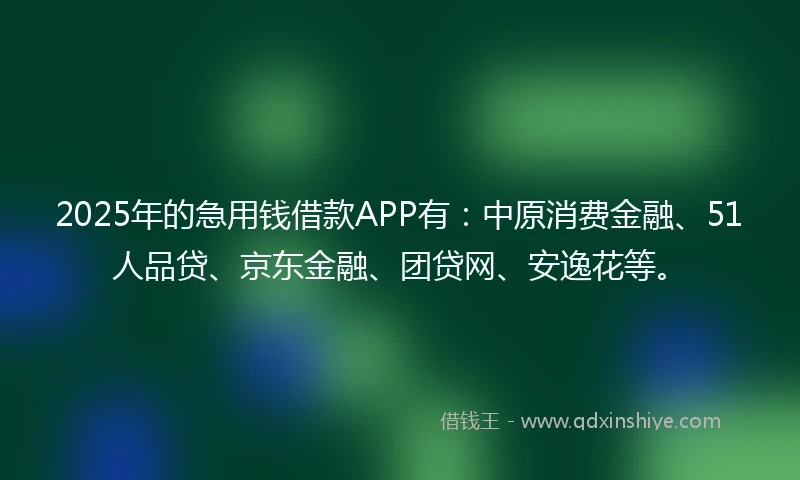 2025年的急用钱借款APP有：中原消费金融、51人品贷、京东金融、团贷网、安逸花等。