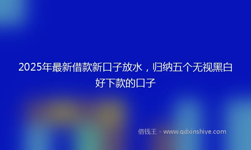 2025年最新借款新口子放水，归纳五个无视黑白好下款的口子