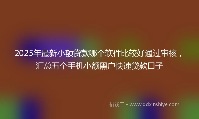 2025年最新小额贷款哪个软件比较好通过审核，汇总五个手机小额黑户快速贷款口子