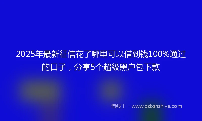 2025年最新征信花了哪里可以借到钱100%通过的口子，分享5个超级黑户包下款