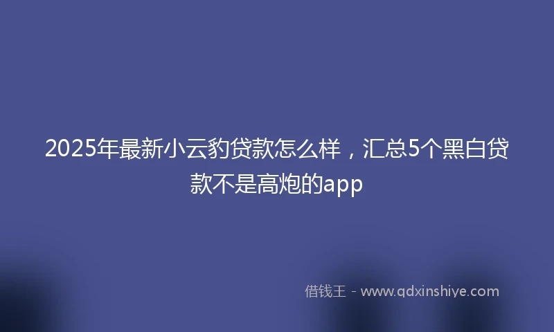 2025年最新小云豹贷款怎么样，汇总5个黑白贷款不是高炮的app