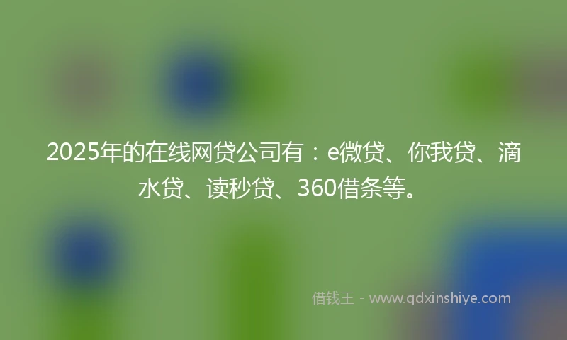 2025年的在线网贷公司有：e微贷、你我贷、滴水贷、读秒贷、360借条等。