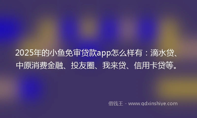 2025年的小鱼免审贷款app怎么样有：滴水贷、中原消费金融、投友圈、我来贷、信用卡贷等。