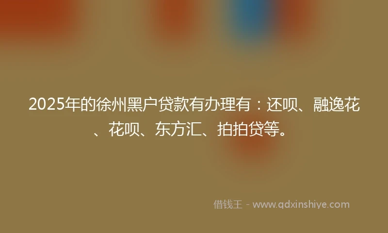 2025年的徐州黑户贷款有办理有：还呗、融逸花、花呗、东方汇、拍拍贷等。