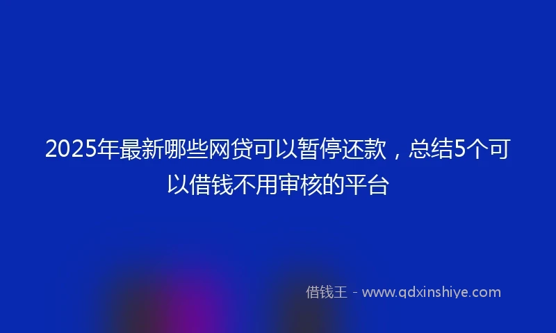 2025年最新哪些网贷可以暂停还款，总结5个可以借钱不用审核的平台