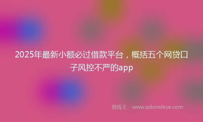 2025年最新小额必过借款平台，概括五个网贷口子风控不严的app
