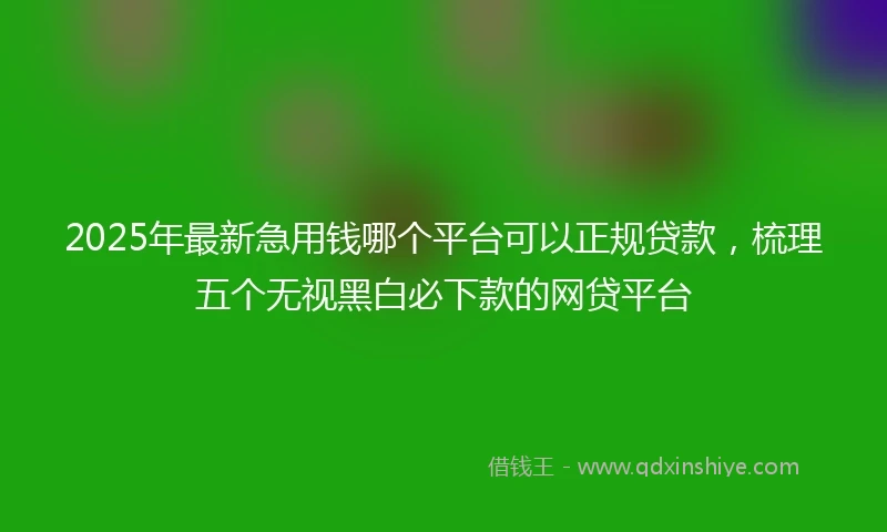 2025年最新急用钱哪个平台可以正规贷款，梳理五个无视黑白必下款的网贷平台