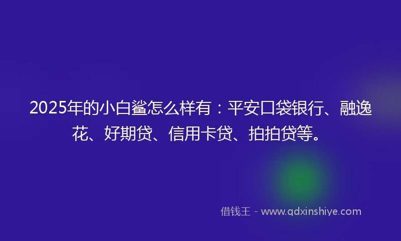 2025年的小白鲨怎么样有：平安口袋银行、融逸花、好期贷、信用卡贷、拍拍贷等。