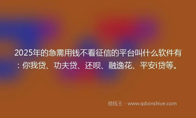 2025年的急需用钱不看征信的平台叫什么软件有：你我贷、功夫贷、还呗、融逸花、平安i贷等。
