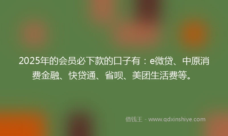 2025年的会员必下款的口子有：e微贷、中原消费金融、快贷通、省呗、美团生活费等。