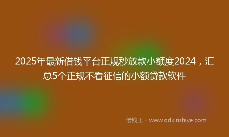 2025年最新借钱平台正规秒放款小额度2024，汇总5个正规不看征信的小额贷款软件