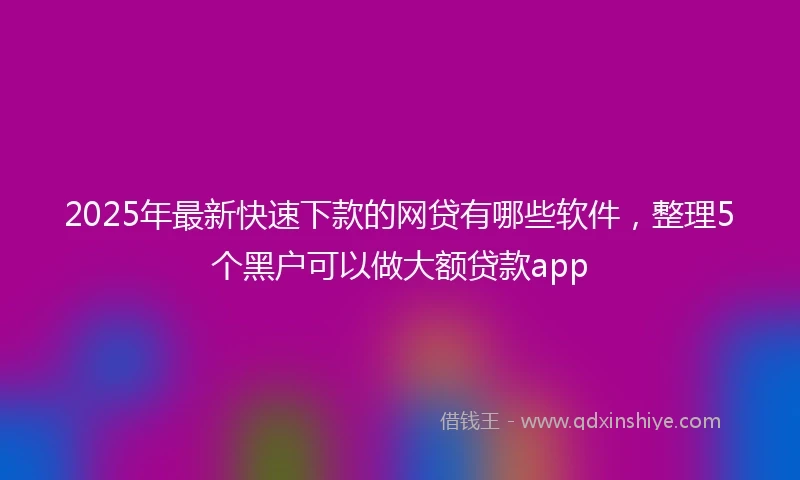 2025年最新快速下款的网贷有哪些软件，整理5个黑户可以做大额贷款app