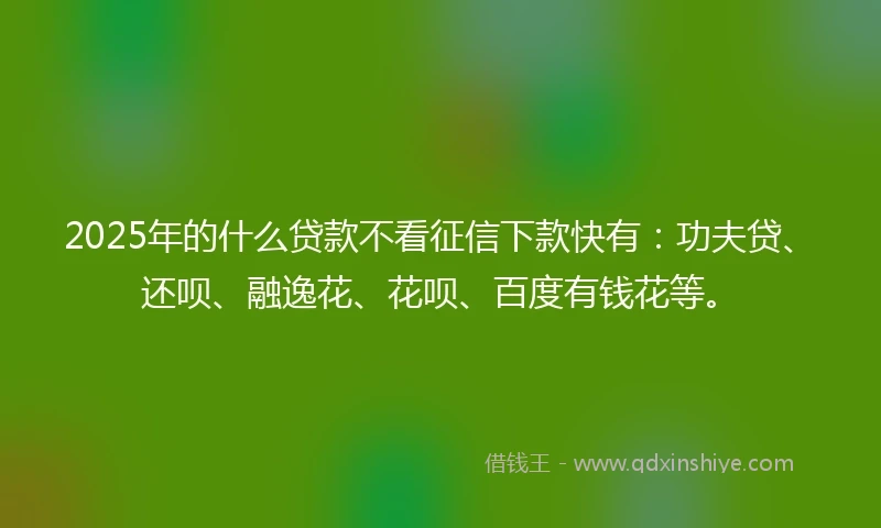 2025年的什么贷款不看征信下款快有：功夫贷、还呗、融逸花、花呗、百度有钱花等。