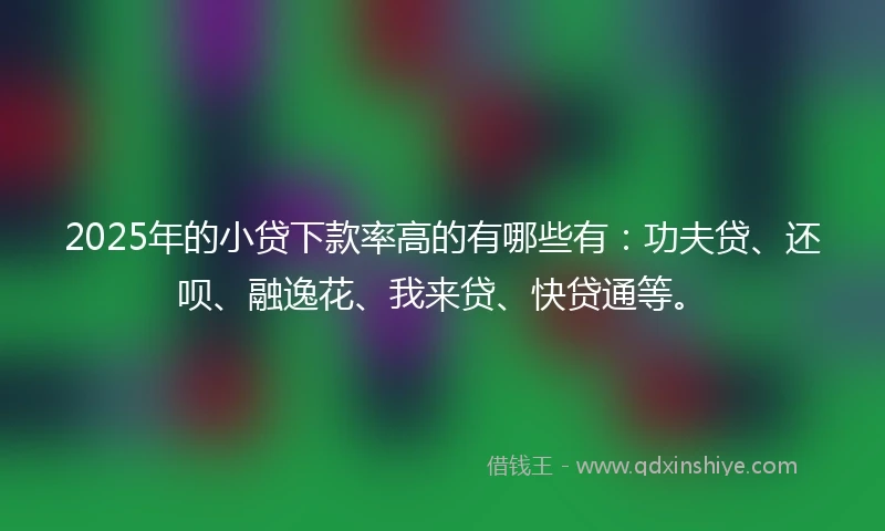 2025年的小贷下款率高的有哪些有：功夫贷、还呗、融逸花、我来贷、快贷通等。