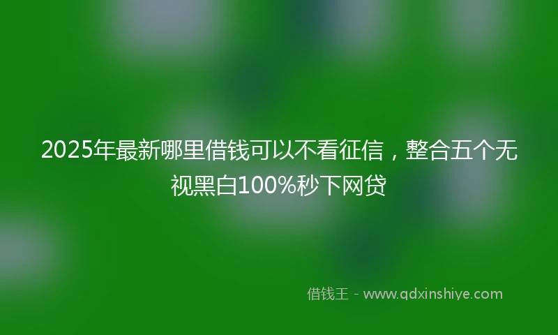 2025年最新哪里借钱可以不看征信，整合五个无视黑白100%秒下网贷