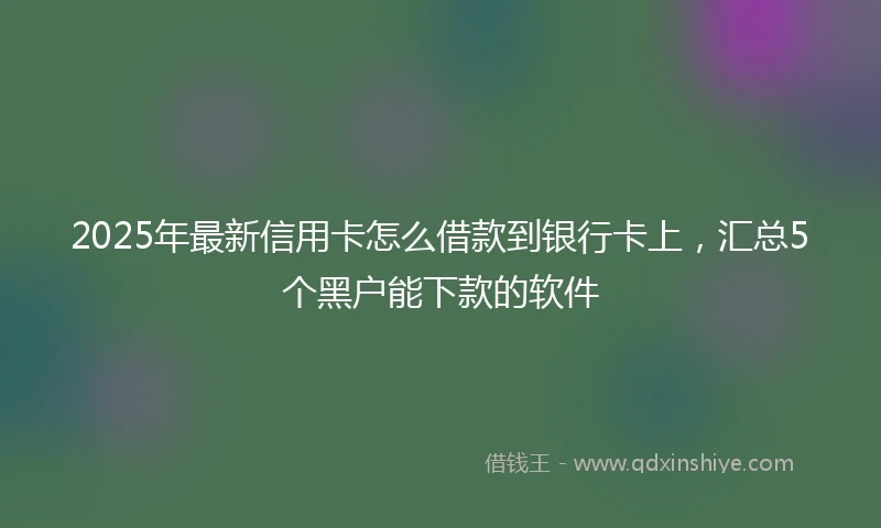 2025年最新信用卡怎么借款到银行卡上，汇总5个黑户能下款的软件