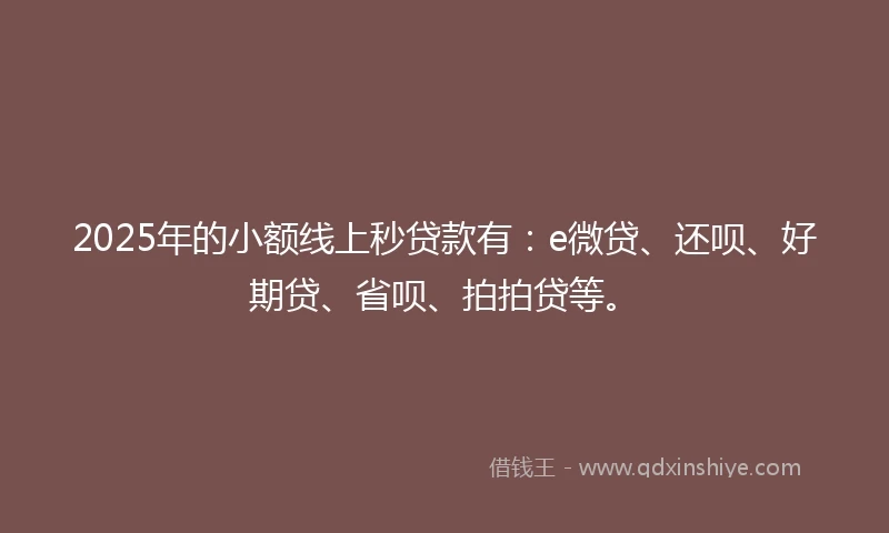 2025年的小额线上秒贷款有：e微贷、还呗、好期贷、省呗、拍拍贷等。