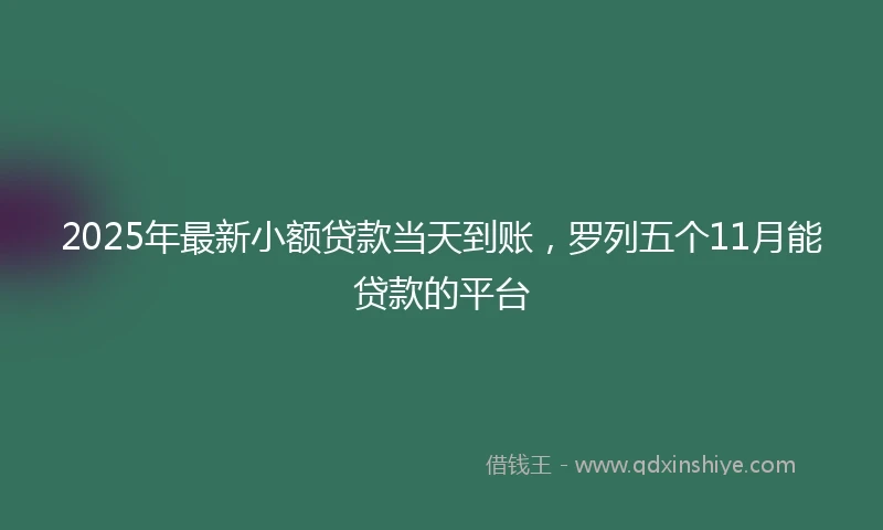 2025年最新小额贷款当天到账，罗列五个11月能贷款的平台