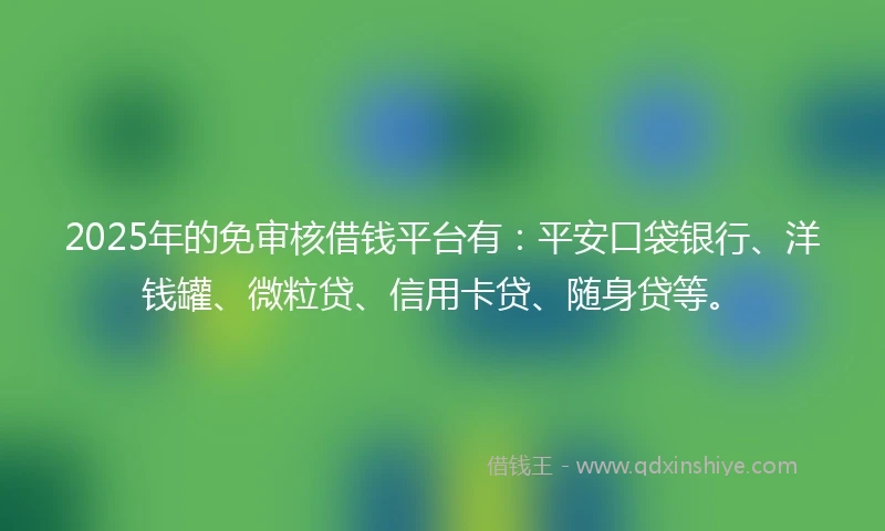 2025年的免审核借钱平台有：平安口袋银行、洋钱罐、微粒贷、信用卡贷、随身贷等。