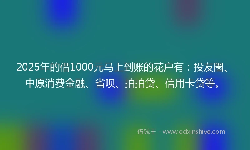 2025年的借1000元马上到账的花户有：投友圈、中原消费金融、省呗、拍拍贷、信用卡贷等。