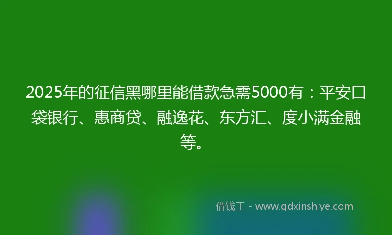 2025年的征信黑哪里能借款急需5000有：平安口袋银行、惠商贷、融逸花、东方汇、度小满金融等。