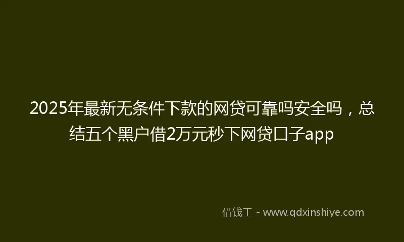 2025年最新无条件下款的网贷可靠吗安全吗，总结五个黑户借2万元秒下网贷口子app
