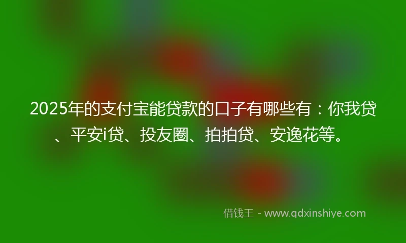 2025年的支付宝能贷款的口子有哪些有：你我贷、平安i贷、投友圈、拍拍贷、安逸花等。