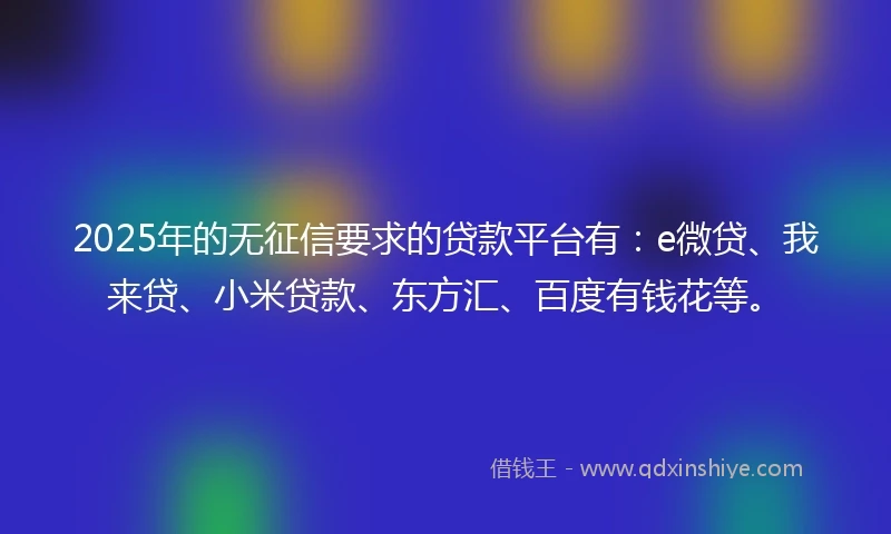 2025年的无征信要求的贷款平台有：e微贷、我来贷、小米贷款、东方汇、百度有钱花等。