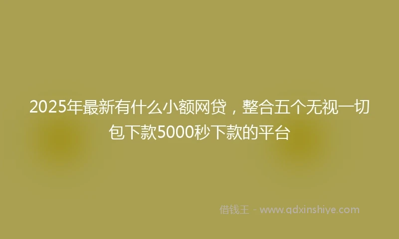2025年最新有什么小额网贷，整合五个无视一切包下款5000秒下款的平台