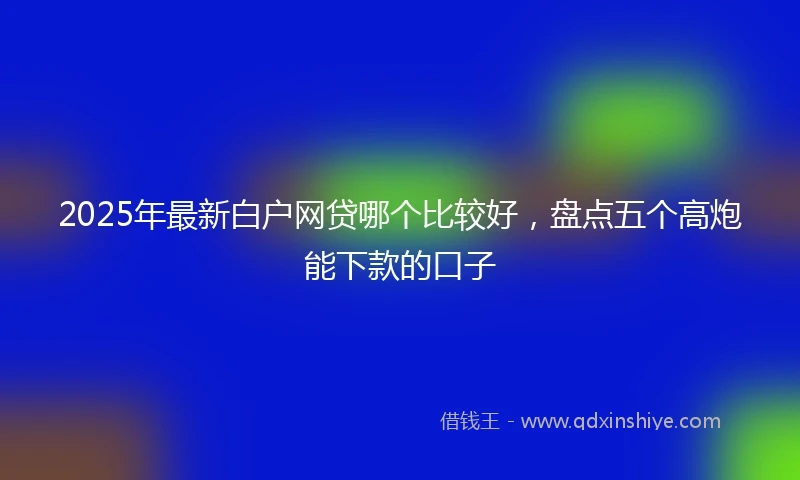 2025年最新白户网贷哪个比较好，盘点五个高炮能下款的口子