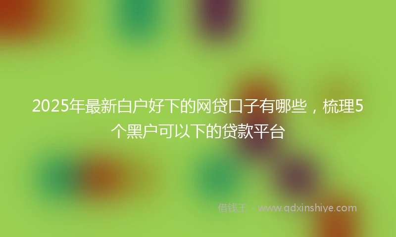 2025年最新白户好下的网贷口子有哪些，梳理5个黑户可以下的贷款平台