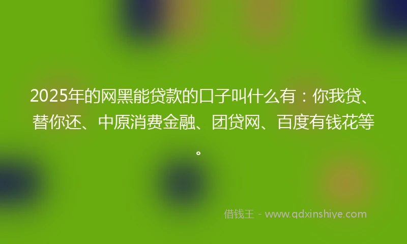 2025年的网黑能贷款的口子叫什么有：你我贷、替你还、中原消费金融、团贷网、百度有钱花等。