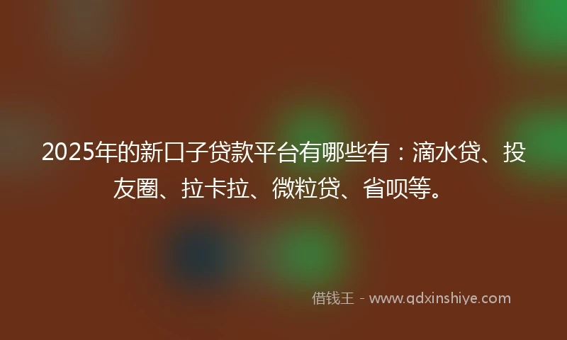 2025年的新口子贷款平台有哪些有：滴水贷、投友圈、拉卡拉、微粒贷、省呗等。