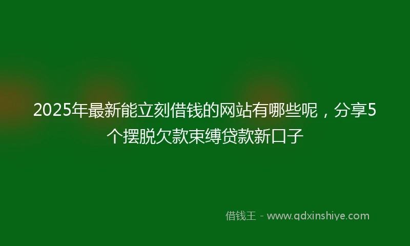 2025年最新能立刻借钱的网站有哪些呢，分享5个摆脱欠款束缚贷款新口子