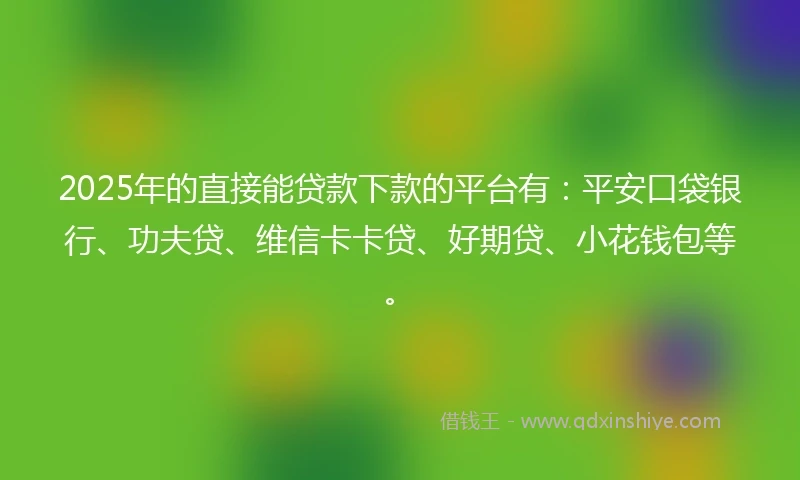 2025年的直接能贷款下款的平台有：平安口袋银行、功夫贷、维信卡卡贷、好期贷、小花钱包等。