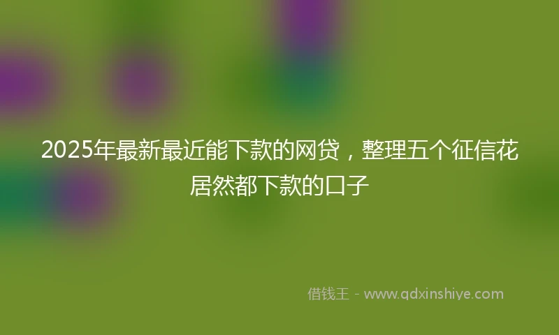 2025年最新最近能下款的网贷，整理五个征信花居然都下款的口子
