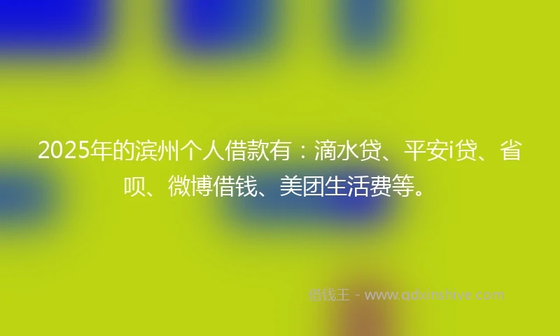 2025年的滨州个人借款有：滴水贷、平安i贷、省呗、微博借钱、美团生活费等。