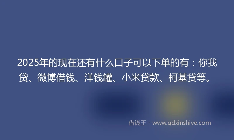 2025年的现在还有什么口子可以下单的有：你我贷、微博借钱、洋钱罐、小米贷款、柯基贷等。