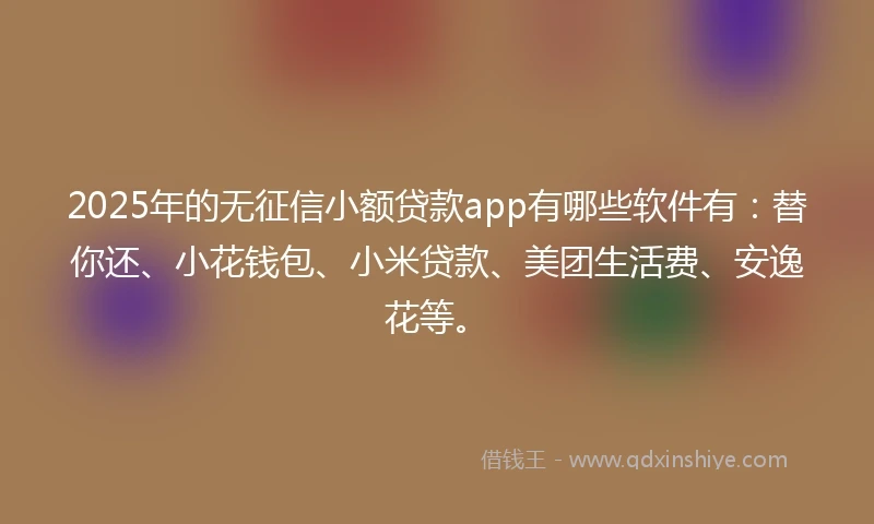 2025年的无征信小额贷款app有哪些软件有：替你还、小花钱包、小米贷款、美团生活费、安逸花等。