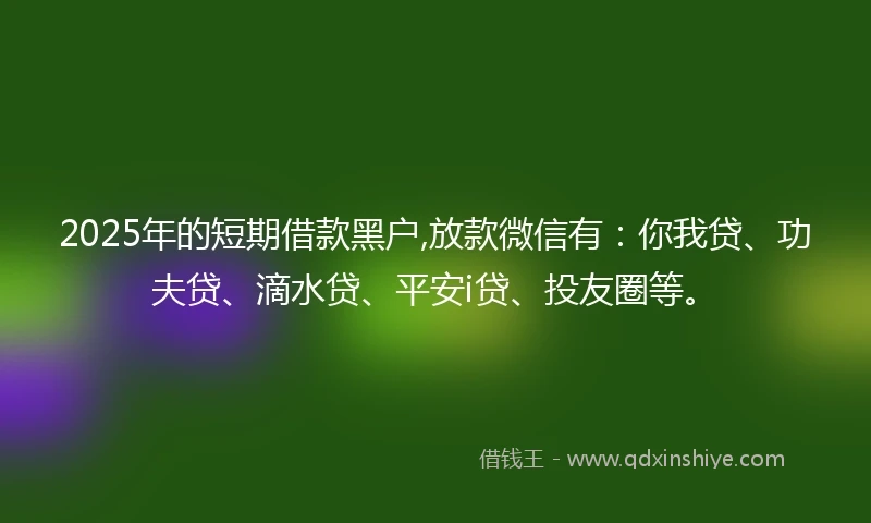 2025年的短期借款黑户,放款微信有：你我贷、功夫贷、滴水贷、平安i贷、投友圈等。
