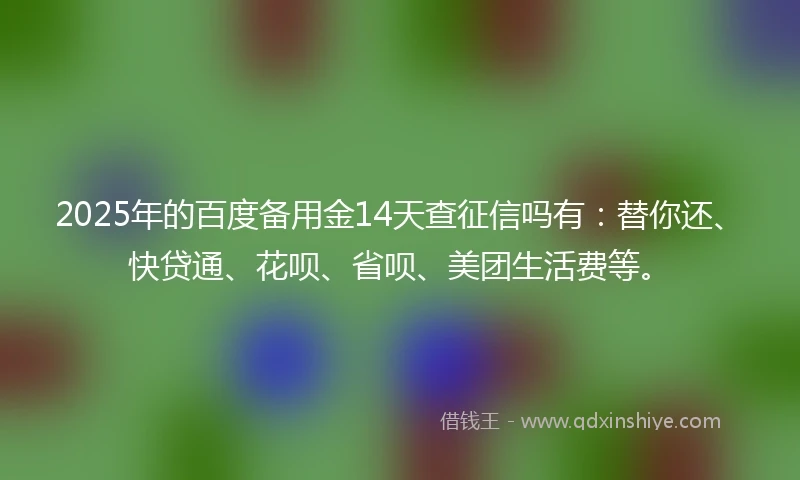 2025年的百度备用金14天查征信吗有：替你还、快贷通、花呗、省呗、美团生活费等。