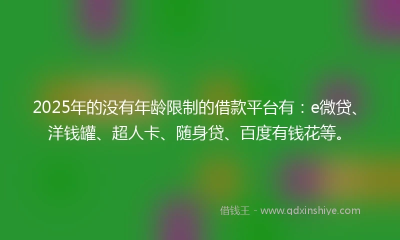 2025年的没有年龄限制的借款平台有：e微贷、洋钱罐、超人卡、随身贷、百度有钱花等。