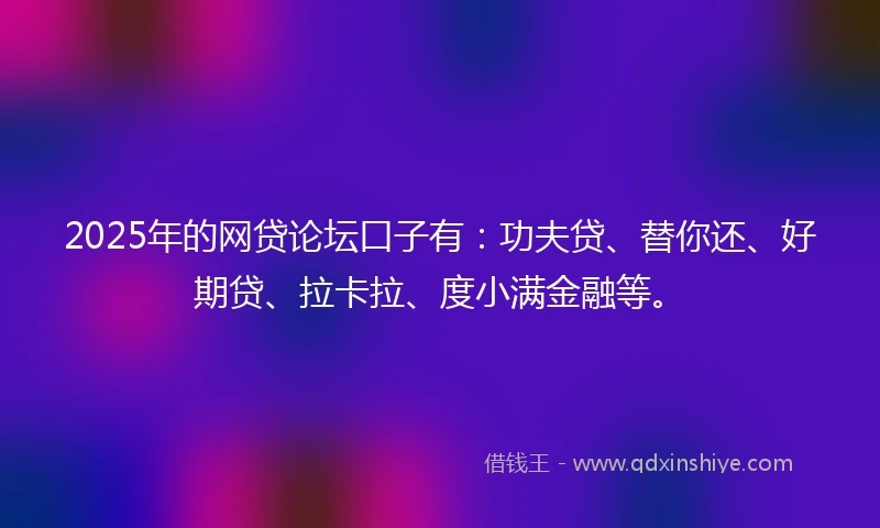 2025年的网贷论坛口子有：功夫贷、替你还、好期贷、拉卡拉、度小满金融等。