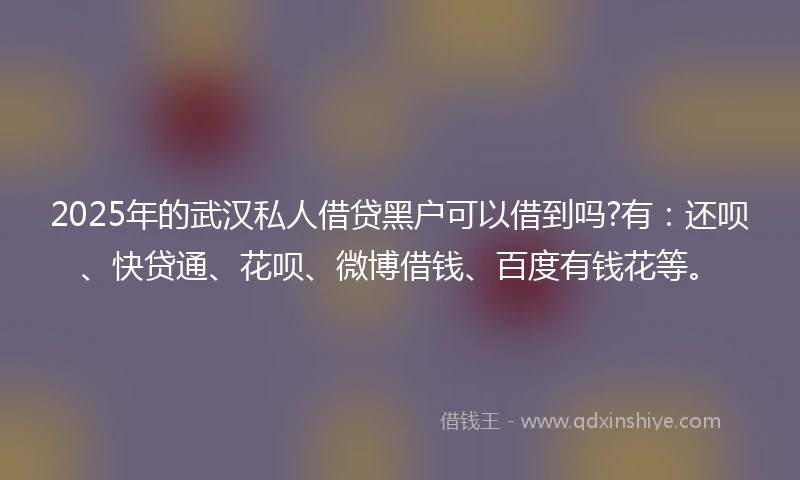 2025年的武汉私人借贷黑户可以借到吗?有：还呗、快贷通、花呗、微博借钱、百度有钱花等。