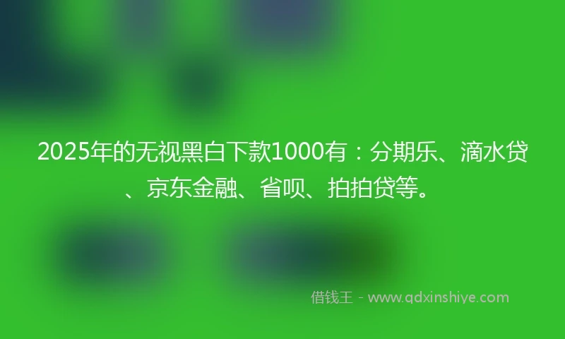 2025年的无视黑白下款1000有：分期乐、滴水贷、京东金融、省呗、拍拍贷等。