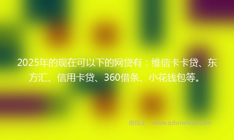 2025年的现在可以下的网贷有：维信卡卡贷、东方汇、信用卡贷、360借条、小花钱包等。